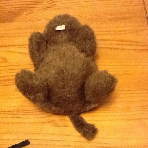Peluche Castor Maron