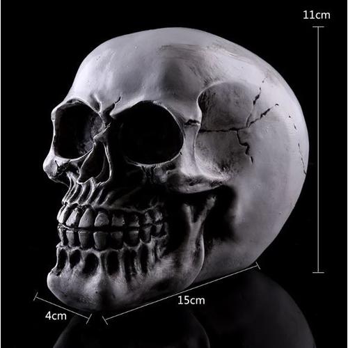 Tête de mort en résine crâne skull pour décoration, collection, cadeau et ornement d'halloween pour intérieur