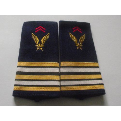 Fourreaux Neuf Grade Lieutenant-Colonel Alat Armée De Terre