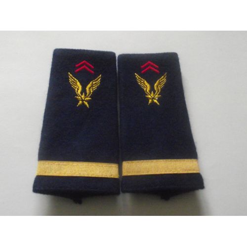 Fourreaux Neuf Grade Sous-Lieutenant Alat Armée De Terre