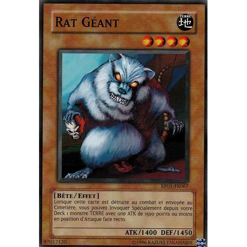 3x Rat Geant - Rp01 Fr067