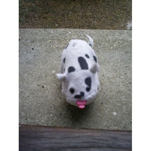 Zhuzhu Pets Cepia