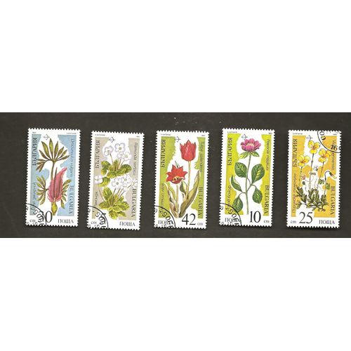 Fleurs