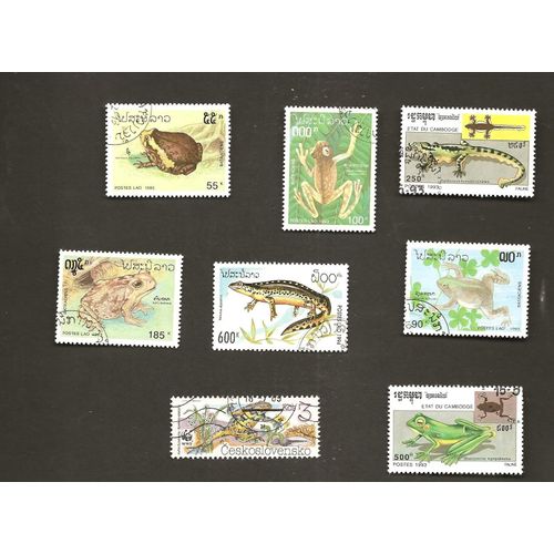 Grenouilles, Batraciens