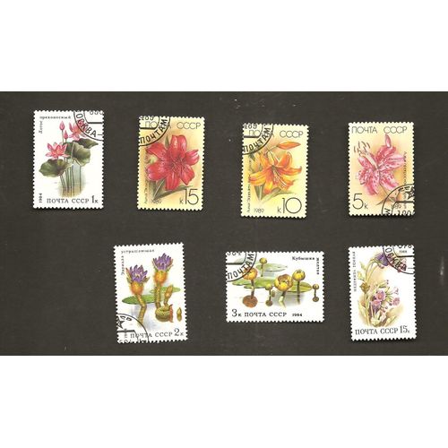 Fleurs