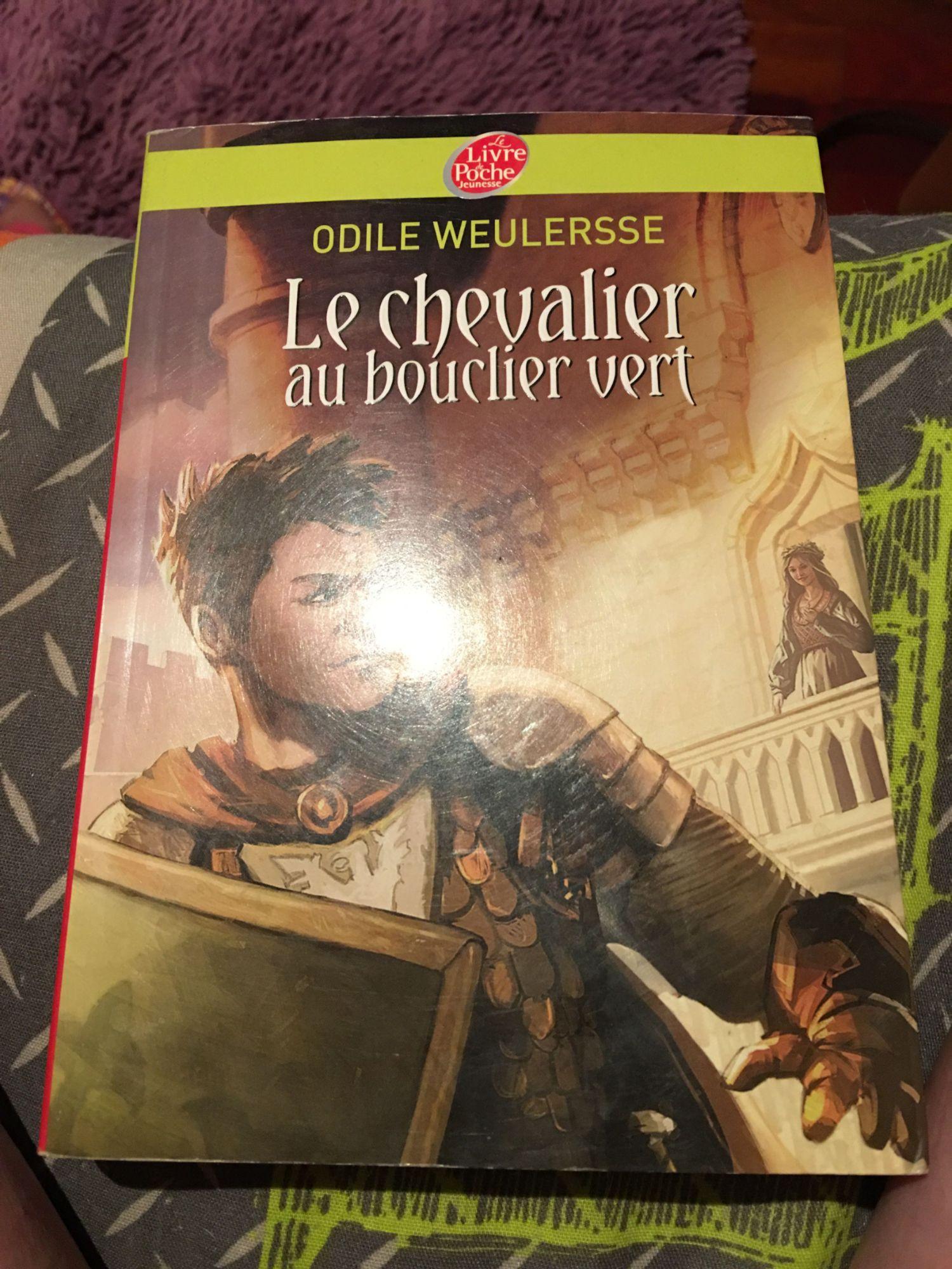 Livre Le Chevalier au bouclier vert - Dealicash