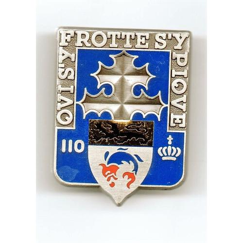 Militaria - Insigne 110ème Régiment D'infanterie "Qui S'y Frotte S'y Pique"