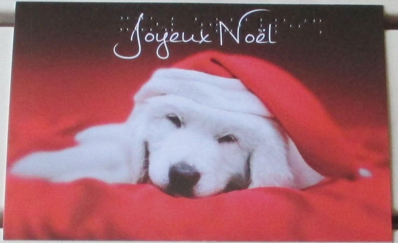 Carte Postale Joyeux Noel Avec Un Jeune Chien Labrador La Mine Ensommeillee Couche Sur Une Couverture Rouge Ne Laissant Apparaitre Que Sa Tete Coiffee D Un Bonnet Mention En Braille 10x15cm Rakuten Carte Postale Joyeux Noel Avec Un Jeune Chien Labrador La Mine Ensommeillee Couche Sur Une Couverture Rouge Ne Laissant Apparaitre Que Sa Tete Coiffee D Un Bonnet Mention En Braille 10x15cm Rakuten