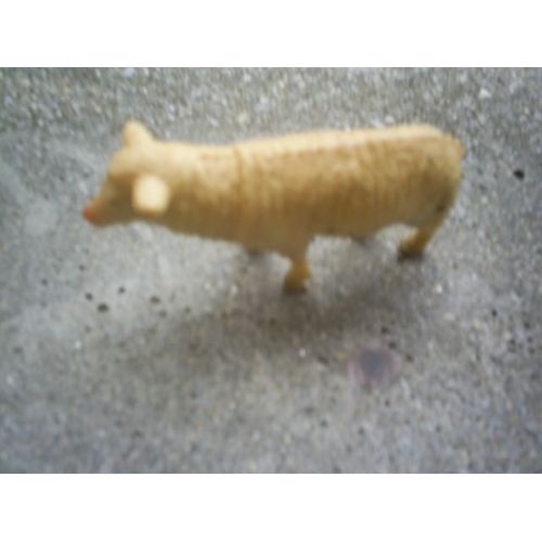 Mouton