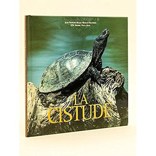 La Cistude D'europe. Une Tortue D'eau Douce