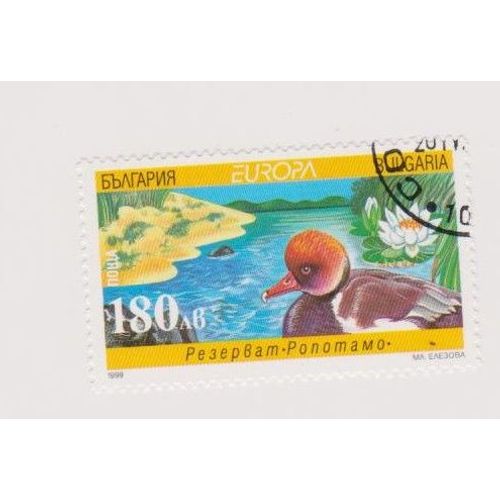 Timbre Oiseau Canard Animaux Gibier D'eau 180