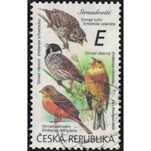 République Tchèque 2020 Oblitéré Used Oiseaux Passereaux Emberizidés Y&t Cz 954 Su