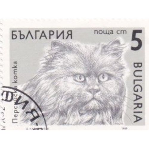Timbre Bulgarie : Chat Persan, 5 Leva