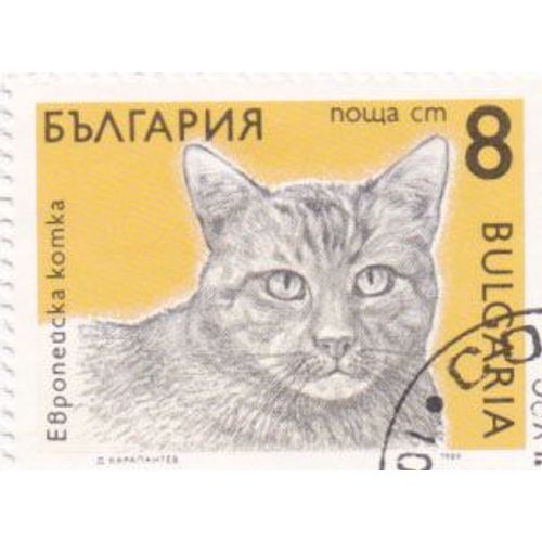 Timbre Bulgarie : Chat Européen, 8 Leva
