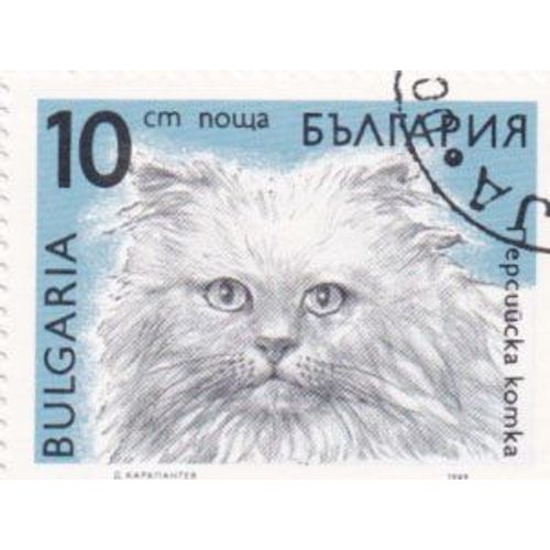 Timbre Bulgarie : Chat Persan, 10 Leva