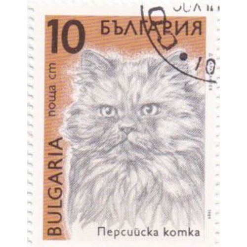 Timbre : Chat Persan, 10 Leva
