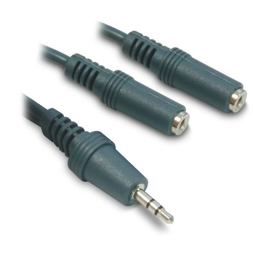 Cordon Jack 3,5 1 mâle / 2 femelles