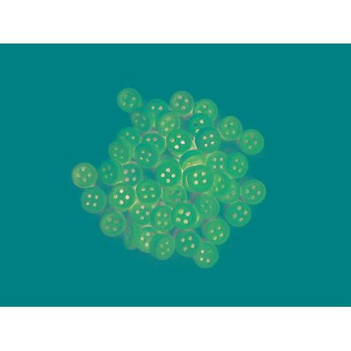 Bouton Bois Brut Ø1cm 48 Pièces