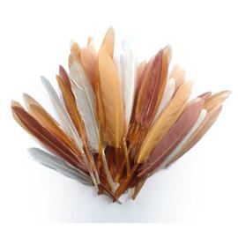 Plumes d'indien camaieu beige sachet 10g 15cm - Graine créative