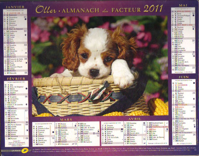 CALENDRIER ALMANACH LA Poste 2024 Animaux chatons chat EUR 10,00