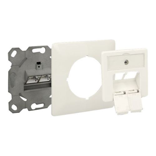 DeLOCK Modular Wall Outlet flush mount 2 Port Cat.6A LSA - Prise à montage encastré - RJ-45 X 2 - commande unique