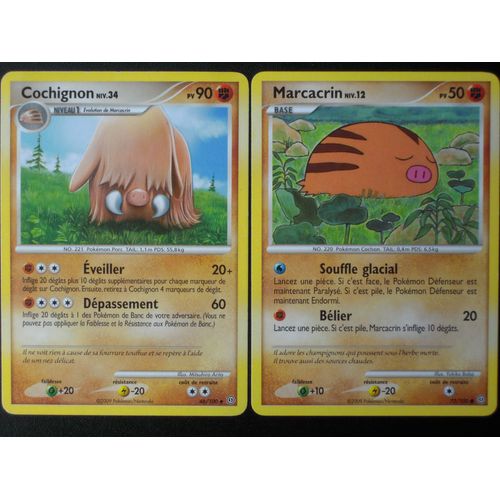 Tempête - Cochignon (46) + Marcacrin (77/100)
