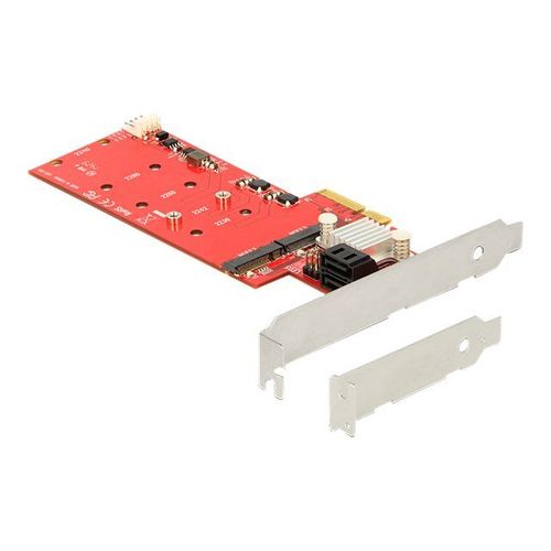 Delock - Contrôleur de stockage - M.2 Card - profil bas - RAID 0, 1, 10 - PCIe 2.0 x4