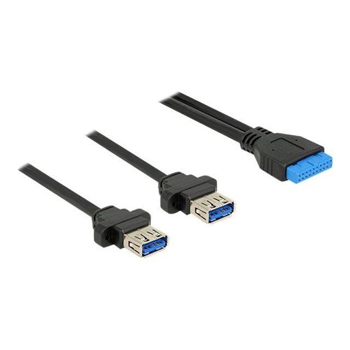 Delock - Câble USB - tête 19 broches USB 3.0 (F) pour USB type A (F) rackable sur panneau - 80 cm - noir - pour P/N: 95234