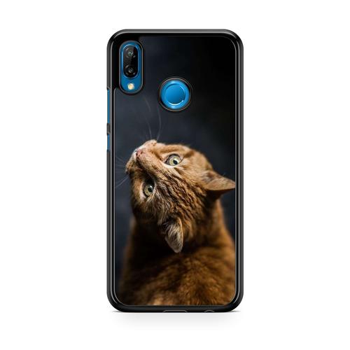 Coque Pour Samsung Galaxy A10s Silicone Tpu Chat Cat Animaux Main Coon Persan Ref 92