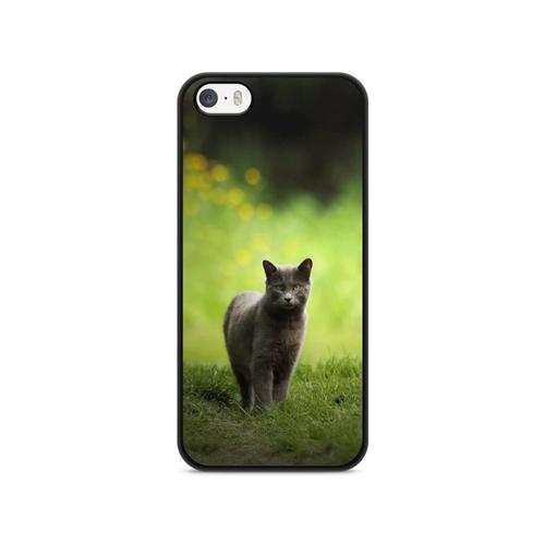 Coque Pour Iphone 5 / 5s / Se 2017 Silicone Chat Cat Animaux Main Coon Persan Ref 501