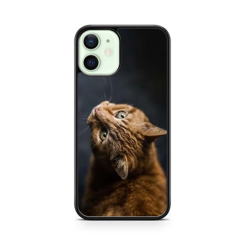Coque Pour Iphone 14 Pro Max Silicone Tpu Chat Cat Animaux Main Coon Persan Ref 123