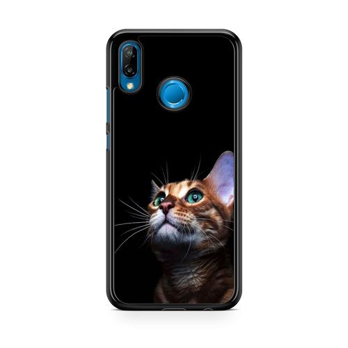Coque Pour Samsung Galaxy A40 Chat Cat Animaux Main Coon Persan Ref 3786