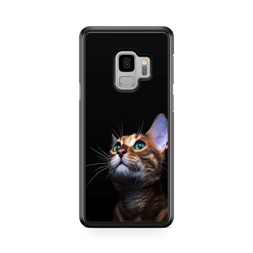 Coque Pour Samsung Galaxy A6 2018 Chat Cat Animaux Main Coon Persan Ref 3777