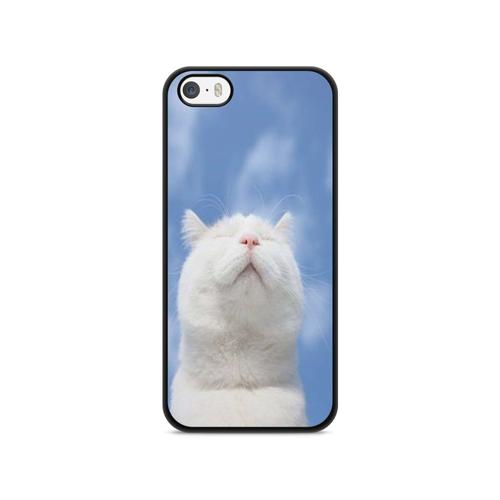 Coque Pour Iphone 5 / 5s / Se 2017 Silicone Chat Cat Animaux Main Coon Persan Ref 5401