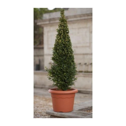 Plastiken pot a fleurs - ø 40 cm rond - terracotta