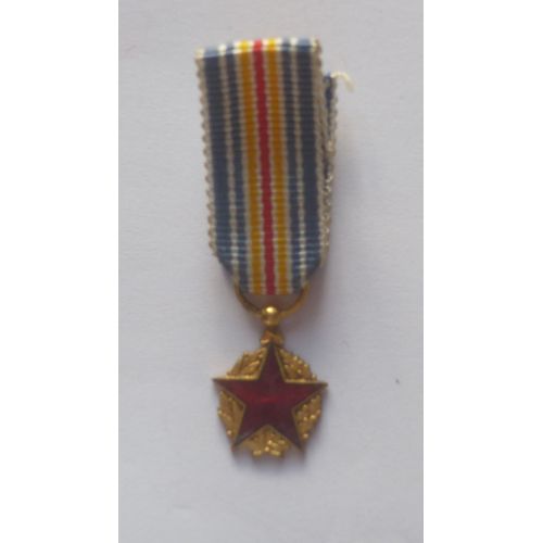 Réduction Médaille Des Blessés Ref M345