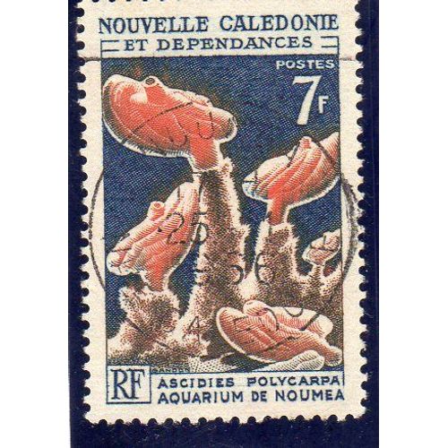 Timbres-Poste De Nouvelle-Calédonie (Flore Sous-Marine, Ascidies Polycarpia)