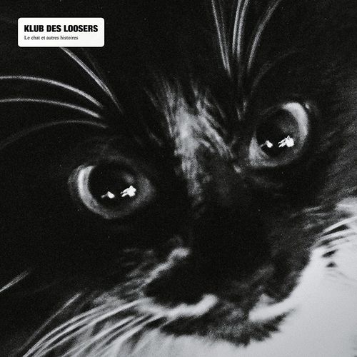 Le Chat Et Autres Histoires
