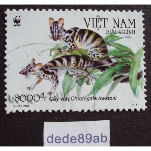 Vietnam.. 8000d Viet Nam . W W F . Cay Van : Chrotogale Owstoni - Civette Palmiste À Bandes . Oblitéré Used Stamp .