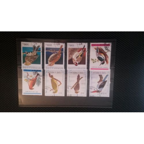 Lot N° 3 De 8 Oiseaux
