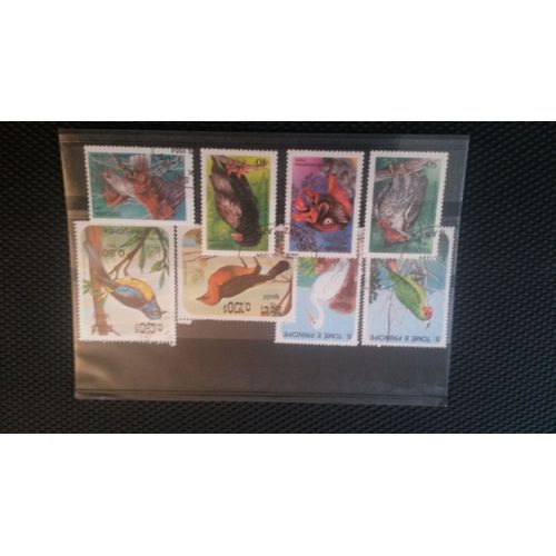 Lot N° 5 De 8 Oiseaux