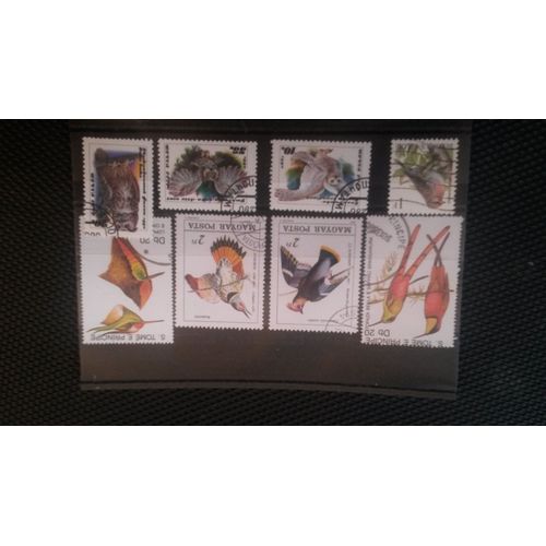 Lot N° 6 De 8 Oiseaux