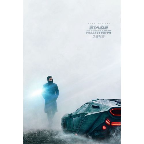 Blade Runner 2049 - Affiche Américaine Roulée Originale De Cinéma - Format 70x100 Cm - Un Film De Denis Villeneuve Avec Ryan Gosling, Harrison Ford, Ana De Armas, Dave Bautista - Année 2017 