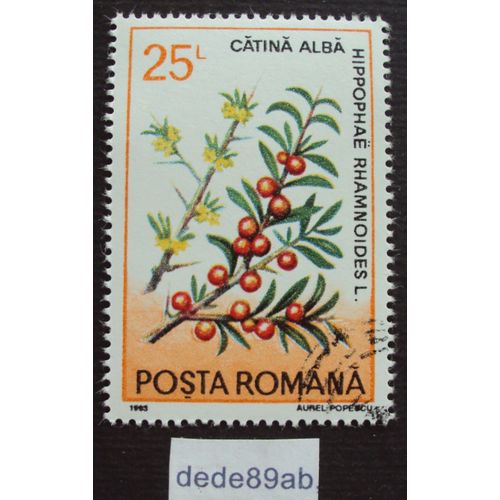 Roumanie..  25l Posta Romana . Catina Alba . Argousier . Oblitéré Used Stamp.