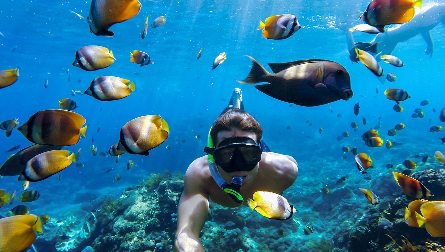 GoPro HERO5 Black - Cam�ra de poche - fixable - 4K / 30 pi/s - Wi-Fi, Bluetooth - sous-marin jusqu'� 10 m image 3 | Rakuten