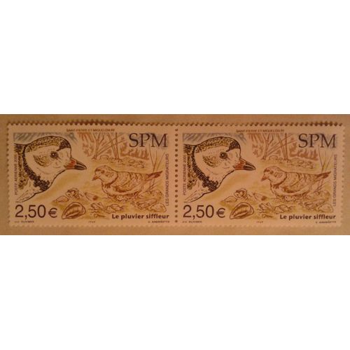 Bloc 2 Timbres France Saint-Pierre Et Miquelon 2005 Poste Aérienne Yvert Et Tellier N°85 Le Pluvier Siffleur Neuf** Gomme Intacte