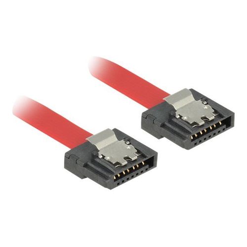 Delock FLEXI - Câble SATA - Serial ATA 150/300/600 - SATA (F) pour SATA (F) - 70 cm - verrouillé - rouge
