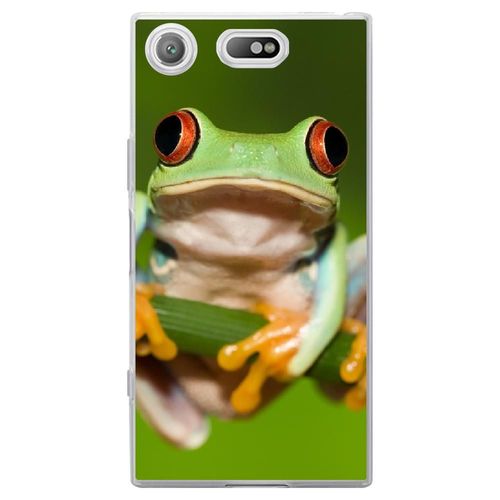 Coque Souple Pour Sony Xperia Xz1 Compact Avec Impression Motifs Grenouille