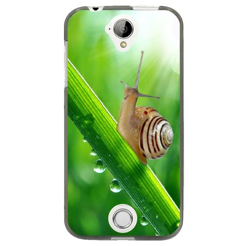 Coque Souple Pour Acer Liquid Z320 Avec Impression Motifs Escargot Sur Une Tige
