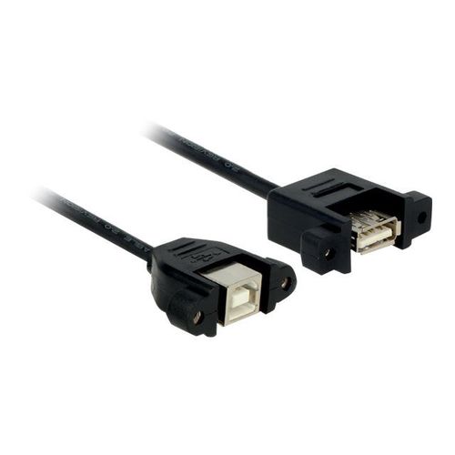 Delock - Adaptateur USB - USB (F) pour USB type B (F) - USB 2.0 - 25 cm - noir